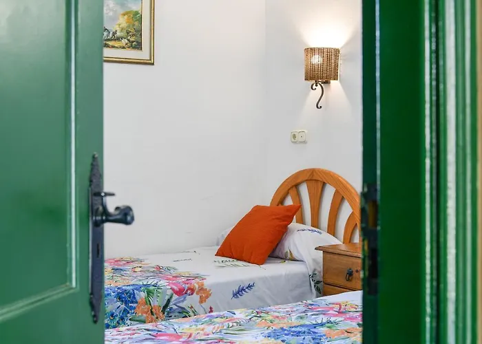 Mimosa B1 Appartement