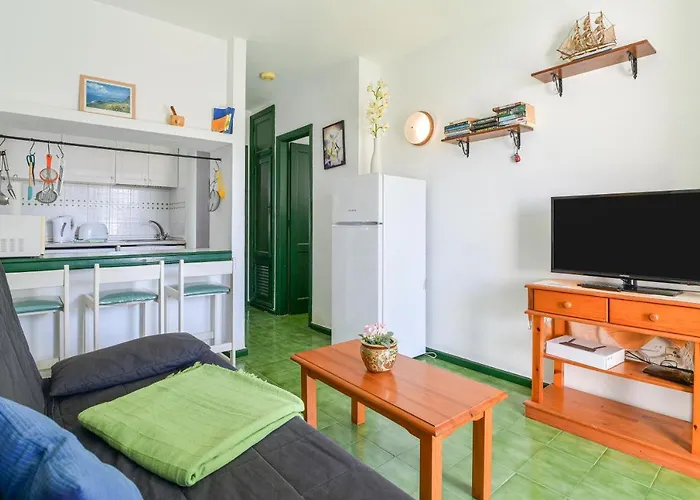 Mimosa B1 プエルト・デル・カルメン